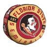 Florida State OFFICIAL NCAA 15" Cloud Pillow